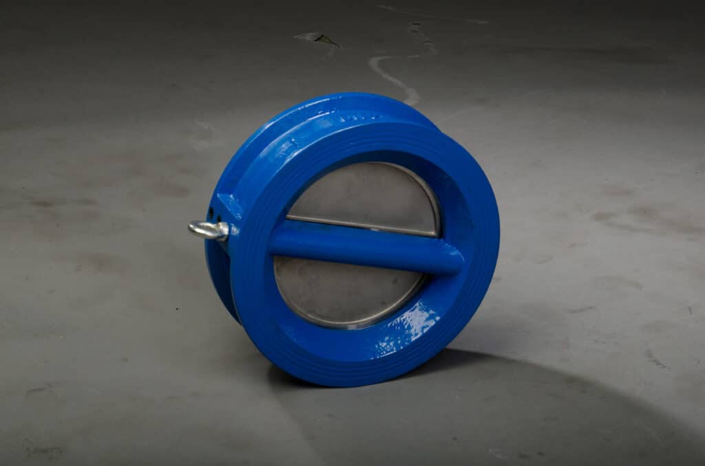 Check Valve