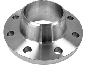 Stainless Steel Raised-Face Weld Neck Flanges